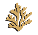 Logotipo Pousada Baia dos Corais